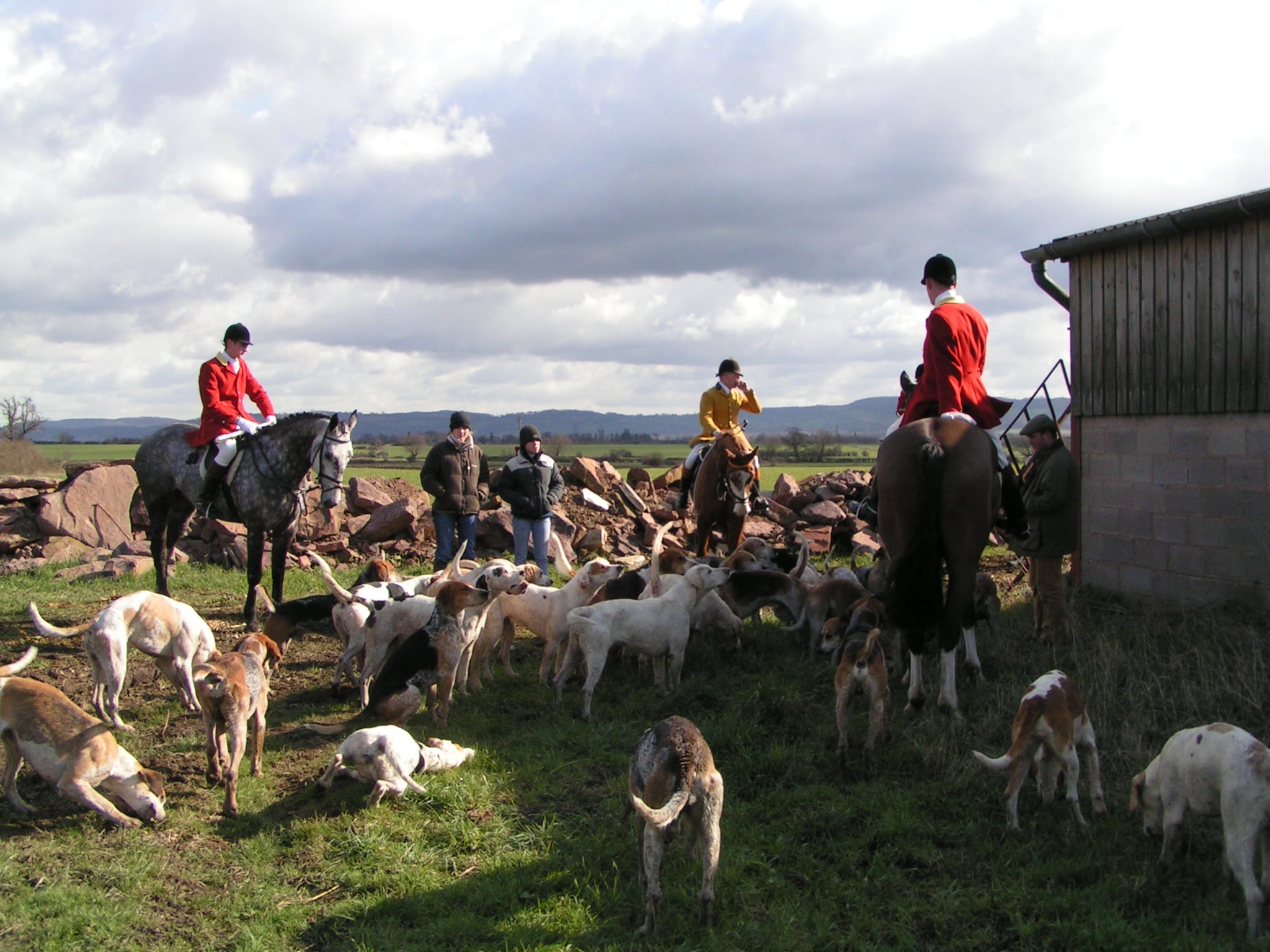 Mobirise Website Builder